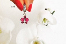 Значение шармов Пандора